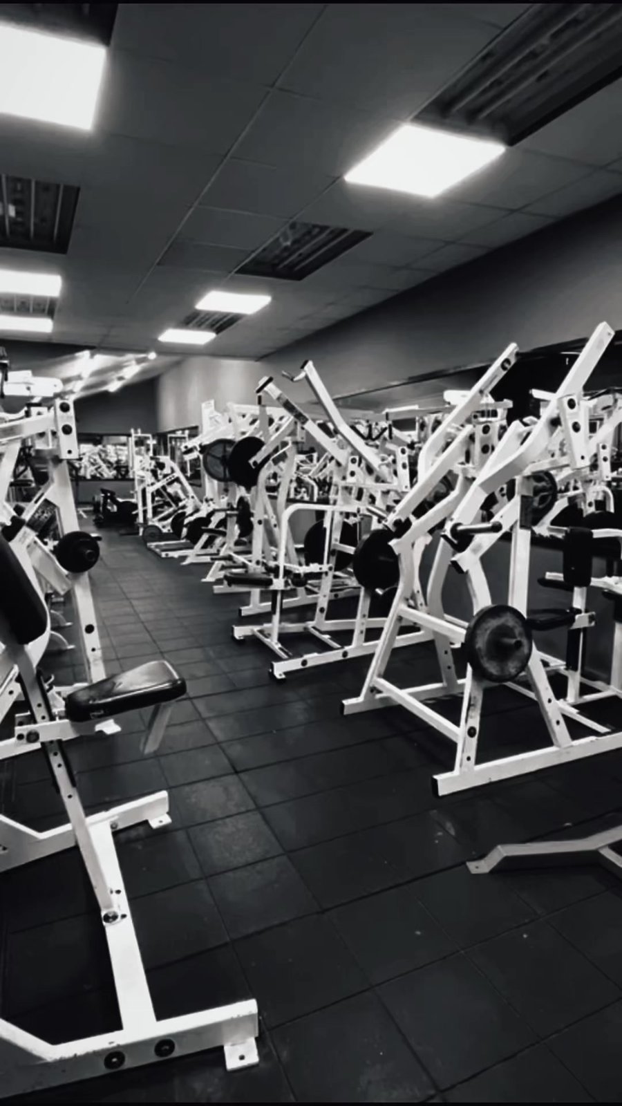 Plate-loaded Hammer Strength machines lined up across the gym floor