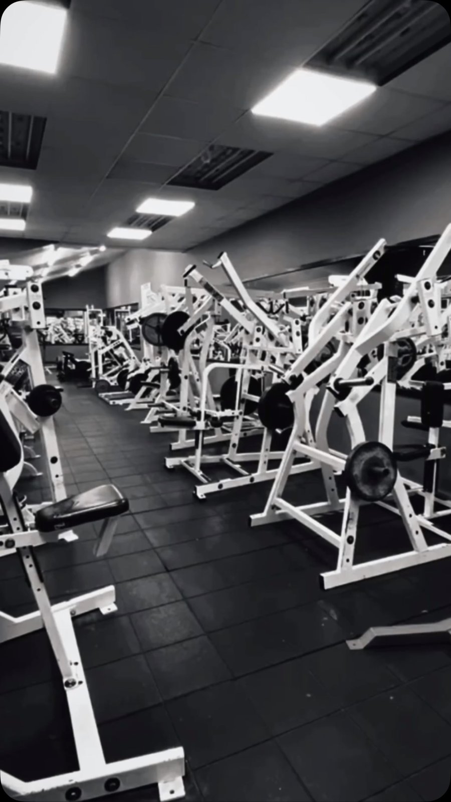 Long rows of plate-loaded Hammer Strength machines on the Peak Physique gym floor